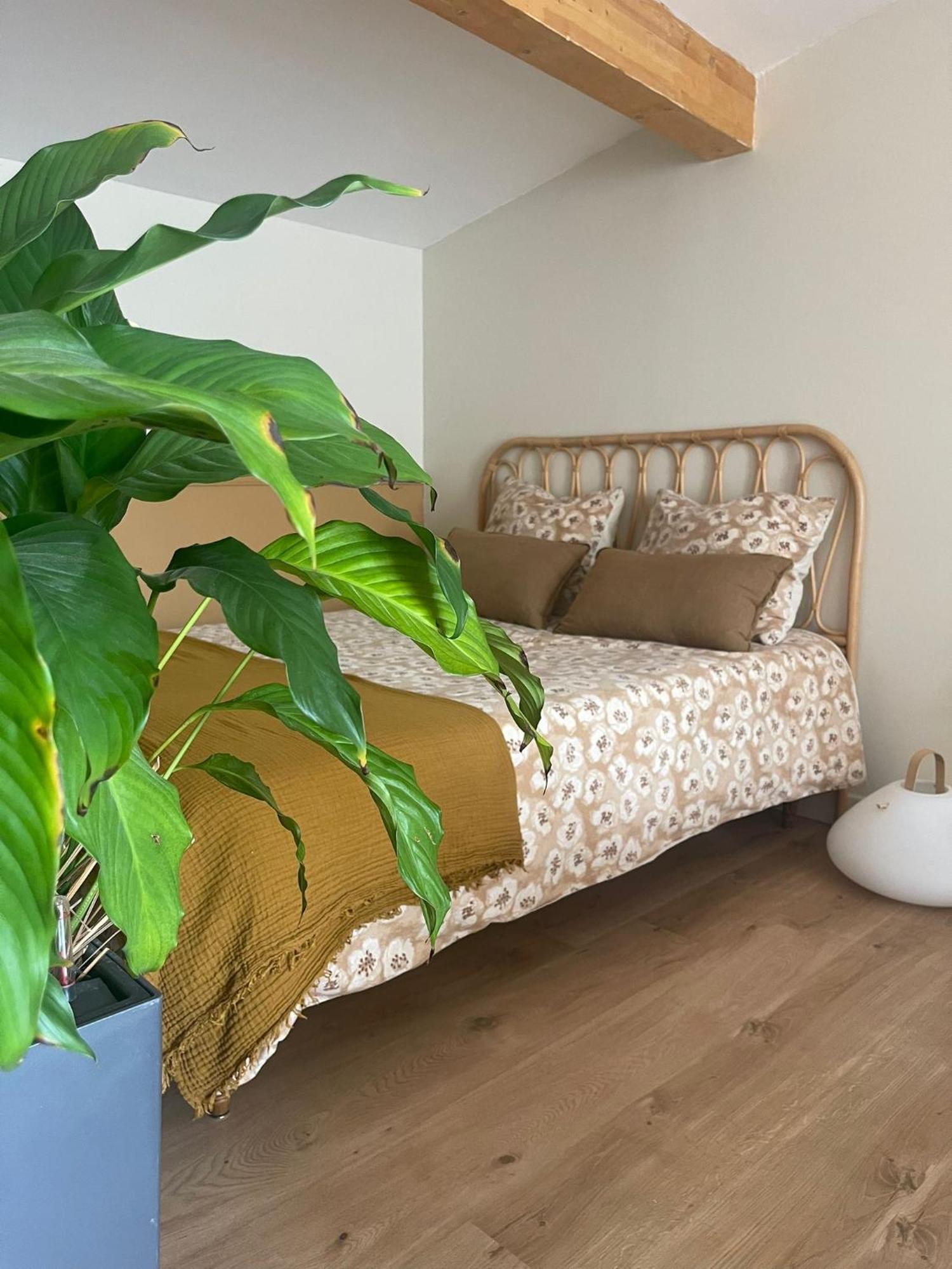 Studio Cosy Castanet-Tolosan Zewnętrze zdjęcie